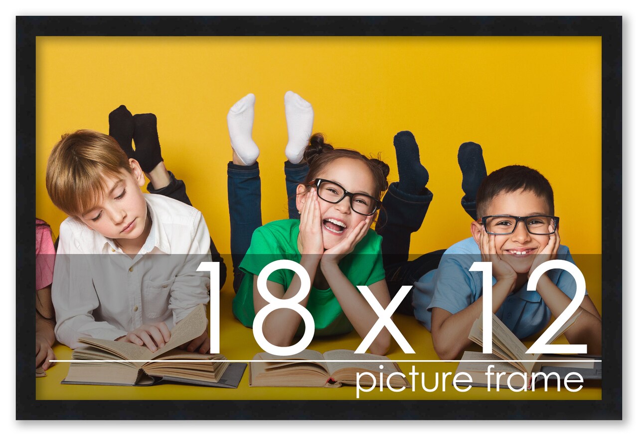 18x12 Solid Wood Picture Frame with UV-Resistant Acrylic & Acid-Free Backing, Available in 6 Finishes: Matte Black, Matte White, Metallic Bronze, Silver, Natural Wood Grain & Mahogany